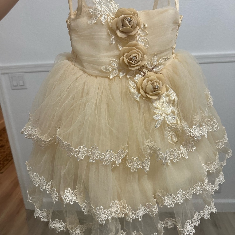 Girls Cream Floral Tulle Party Dress - Elegant Flower Appliqué
